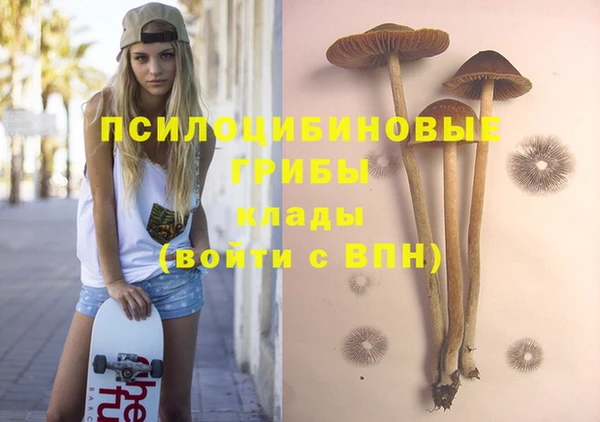 mdpv Верхний Тагил